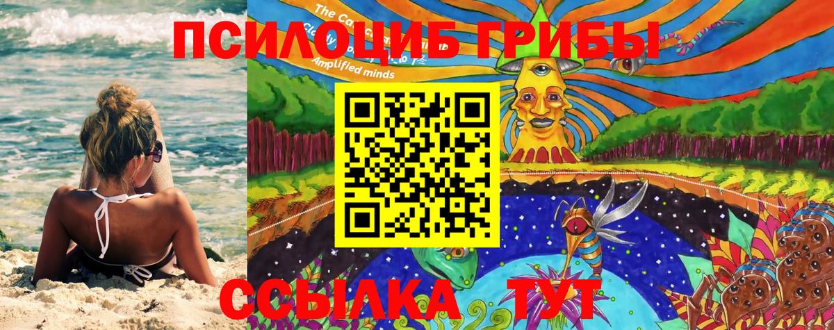 Псилоцибиновые грибы Psilocybine cubensis  Псилоцибиновые грибы MAGIC MUSHROOMS  Ртищево  Вход с VPN 